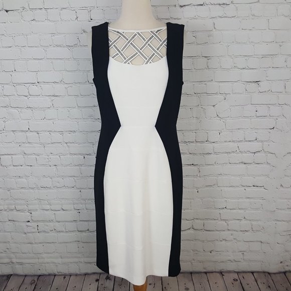 Joseph Ribkoff Dresses & Skirts - Joseph Ribkoff BodyCon Color Block Sheath Dress 10